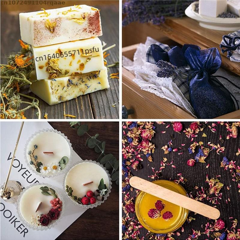 Top Natural Dried Forget Me No - Candle Making Raw Material review and price
